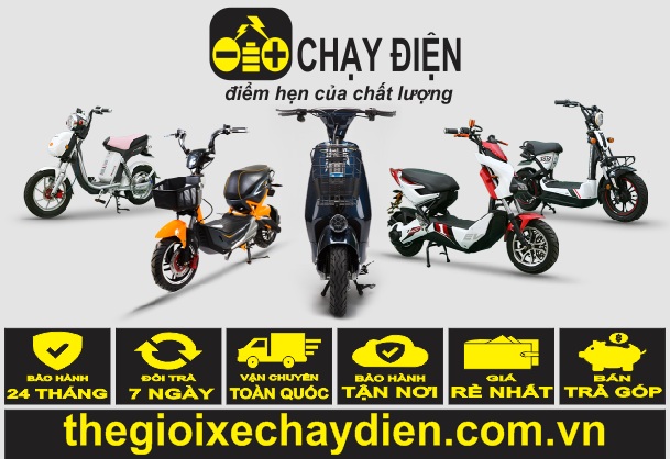 Cầm đồ xe đạp điện giá cao